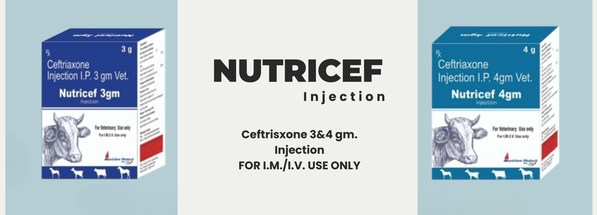 Nutricef Injection