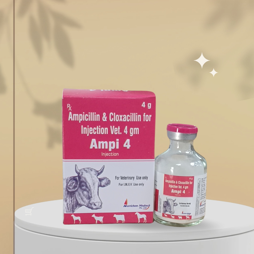 Ampi 4gm Injection