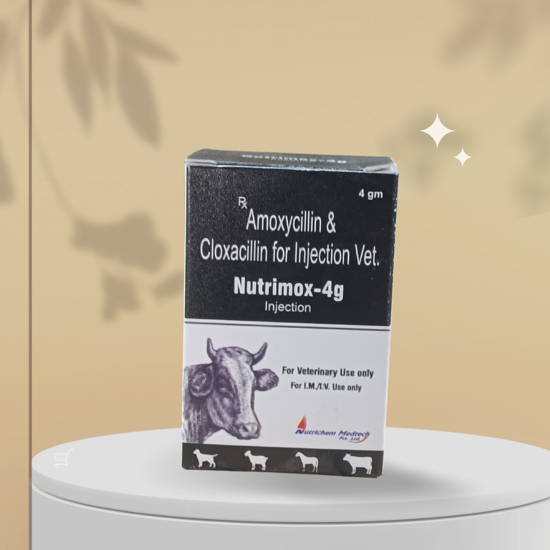 Nutrimox-4gm Injection