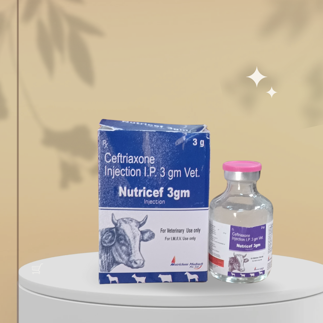 Nutricef 3gm Injection