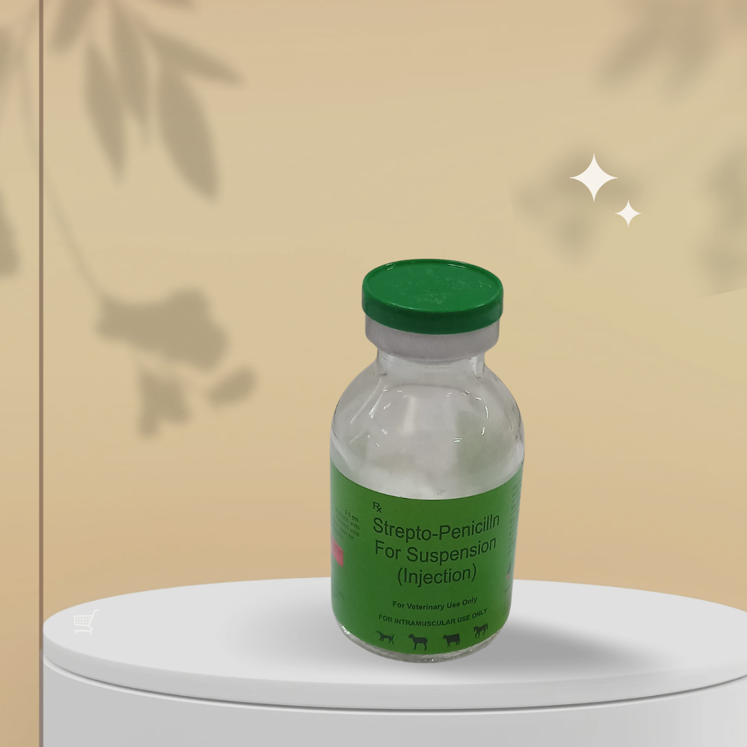 Strepto-Penicilln 2.5gm Injection