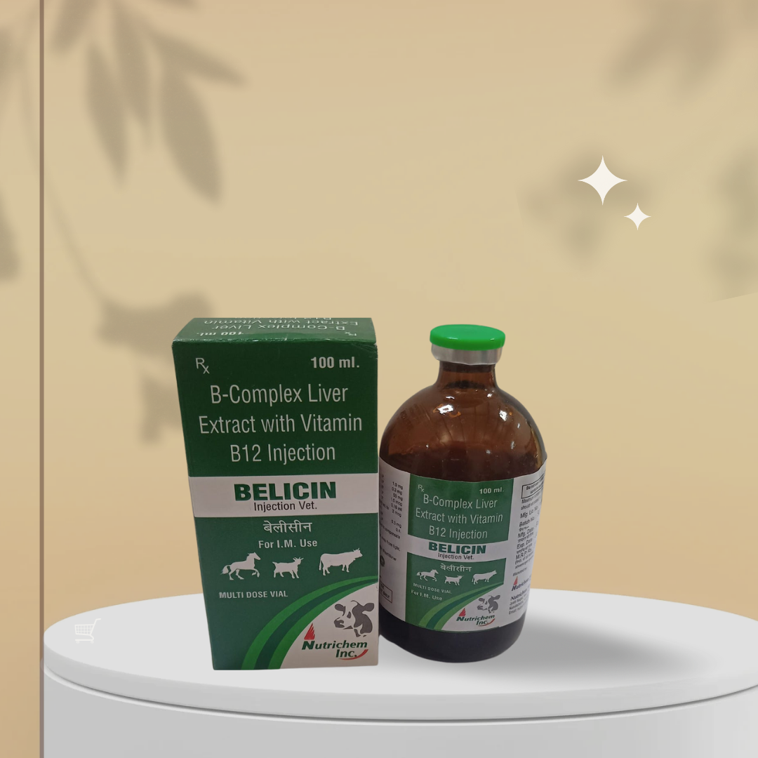 Belicin 100ml Injection