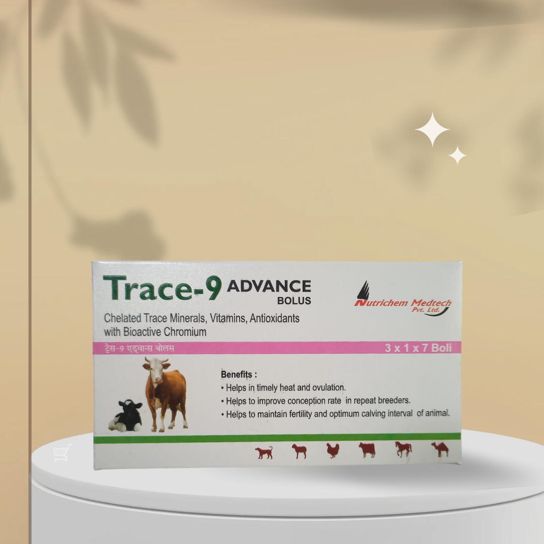 Trace-9 Advance Bolus