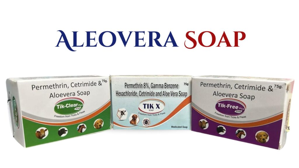 Aleovera Soap