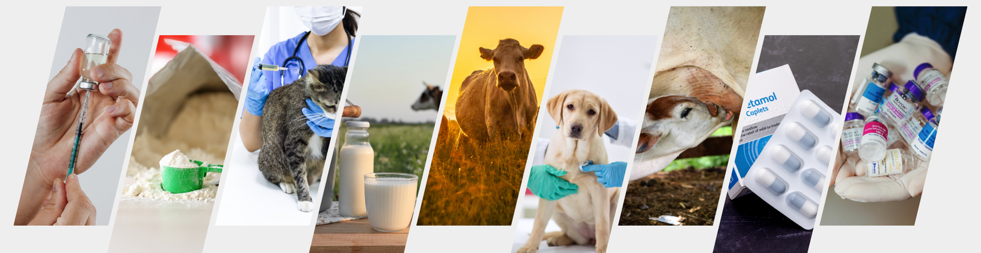 Best Veterinary Health Company In Haryana